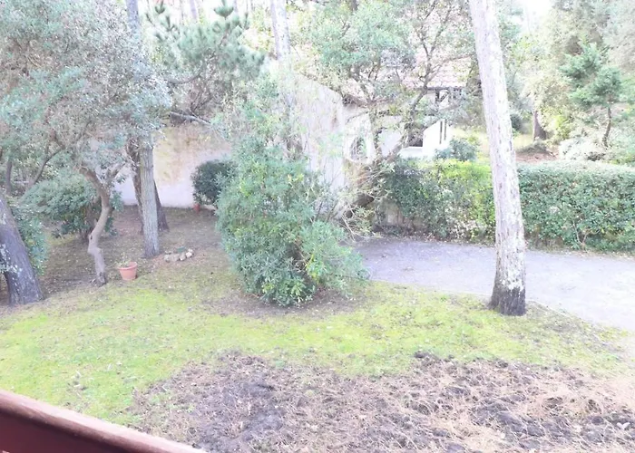 Σπίτι διακοπών Ref 141 ,seignosse Les Bourdaines , Bouharde Classee 3 Etoiles, A 600 M Plage, 10 Personnes Seignosse