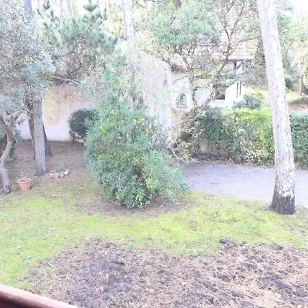 度假居 Ref 141 ,seignosse Les Bourdaines , Bouharde Classee 3 Etoiles, A 600 M Plage, 10 Personnes 塞尼奥斯